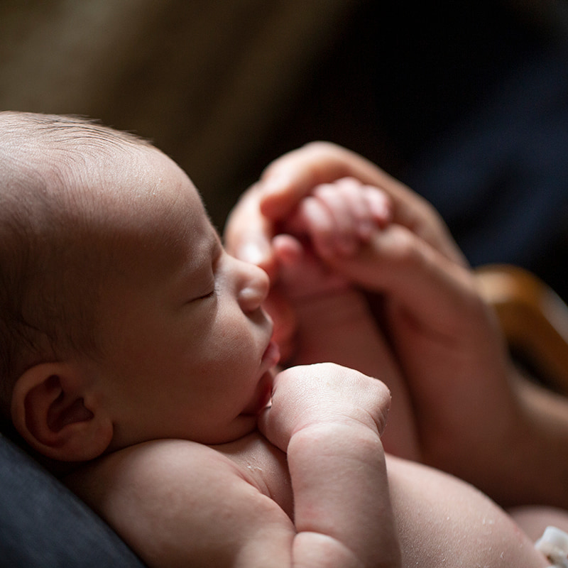 Close up portrait of newborn baby holding parents hand.