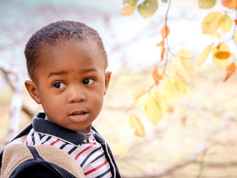 Portrait of a small boy turning to look at the camera with autumn colour leaves behind him.