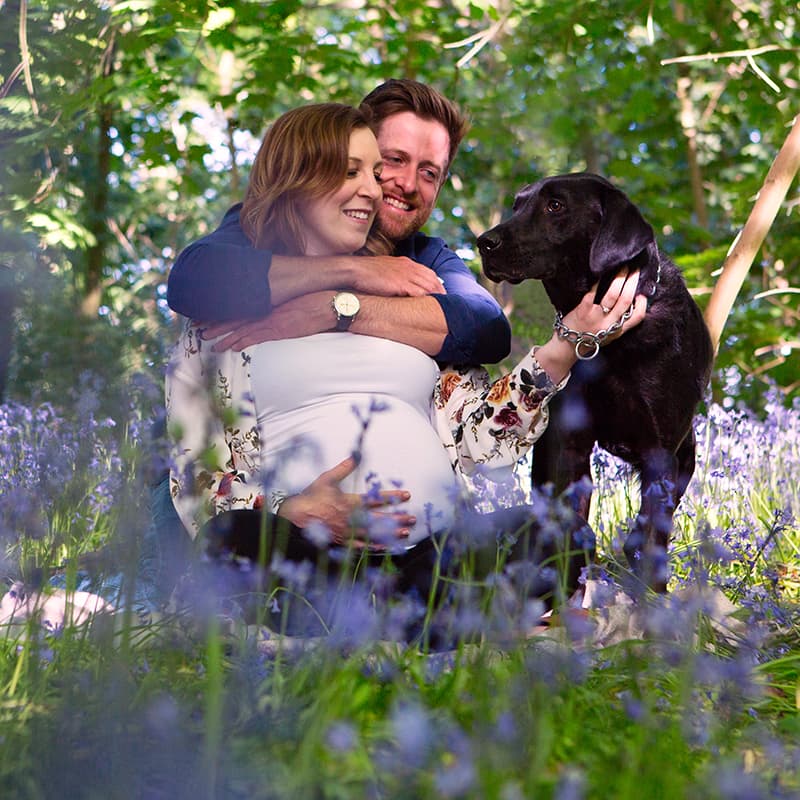 Maternity photo of couple in wood with black labrador sitting amongst flowers holding her pregnant tummy.